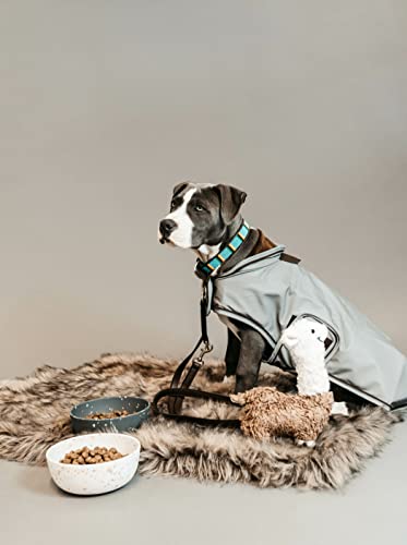 Kentucky Dogwear - Hundemantel - Reflektierend & Wasserdicht - Silber - Größe (XS) - 28-33cm