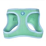 The Dodo Green Dog Harness, Size Small; Easy Step-in Harness for Dogs; Breathable Mesh Fabric; Snap-Together, Pinch Release Buckle, Ring for Leash Attachment; Everyday Pet Apparel