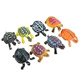 🐢 Die Wahrnehmung natürlicher Tiere durch Kinder, die praktische Fähigkeit und die Fähigkeit der Kinder, Bilder zu lesen, zu trainieren.