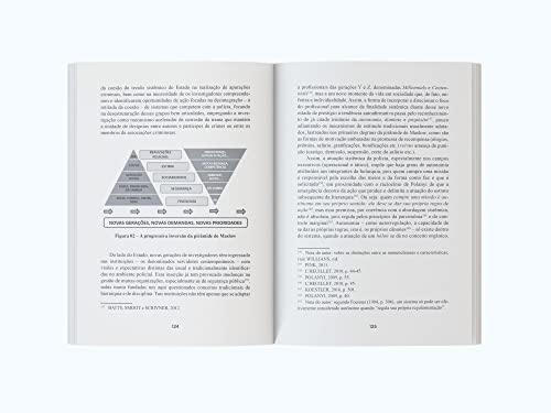 Investigação Criminal Sistêmica: Por uma abordagem multidimensional