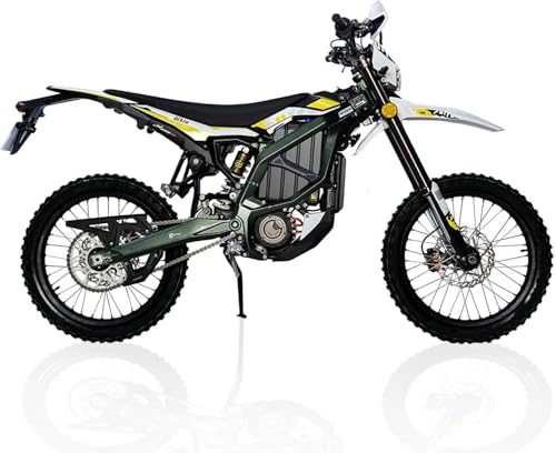12.5KW Electric Mountain Bike for Adults