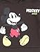 Disney Mickey Mouse Little Boys Fleece Pullover Hoodie and Jogger Pants Outfit Set Dark Gray 5