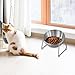 Baoblaze Cat Bowl, Feeding Container, Decor Non Slip,Water Dish Bowl, Elevated Pet Feeder for Puppy Bedroom,Home,Living Room,Traveling, Round Single Bowl