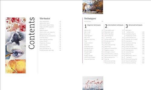 Image of Artist's Watercolour Techniques: Discover How to Paint Landscapes, People and Still Lifes, and Develop Your Own Style