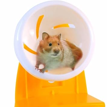 Petzlifeworld Silent Rotatory Jogging Hamster Wheel with Adjustable Stand (Random Color)