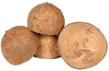 art and craft kit, for basket making Coconut shell for basket making, home decor and crafting