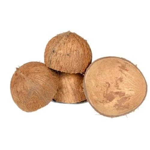 Coquille de noix de coco pour fabrication de paniers et kit d'artisanat d'intérieur unique