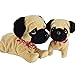 Imagen de WEofferwhatYOUwant Pug Daddy y Pug Puppy