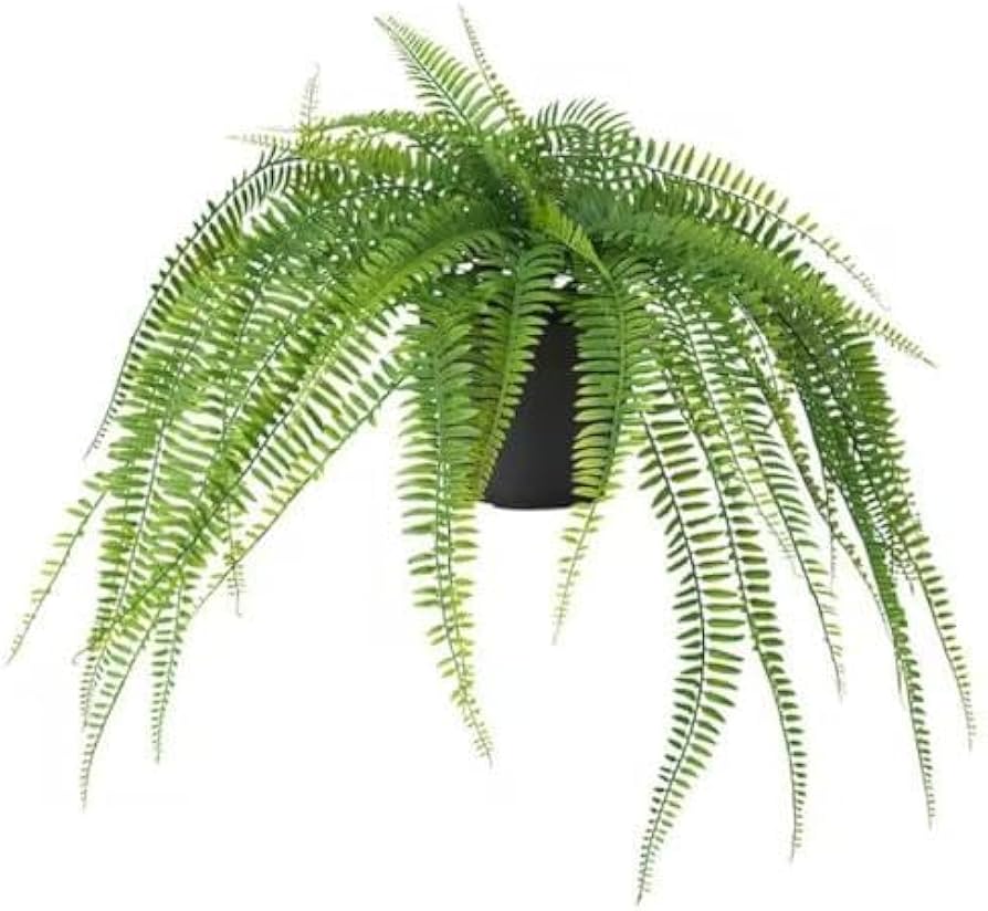 Amazon｜IKEA/イケア FEJKA/フェイカ：人工観葉植物/つり下げ型47