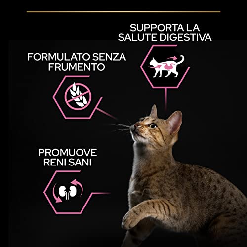 Pro Plan Delicate Ricco in Tacchino - 10KG - 5