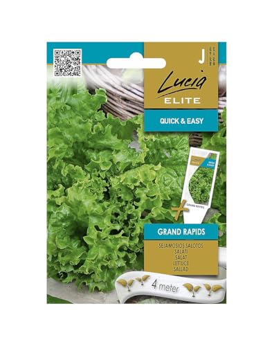 Lucia Elite | Semillas de lechuga - GRAND RAPIDS | Semillas de hortalizas | Semillas de plantas | Semillas de jardín | Semillas de lechuga | 1 paquete