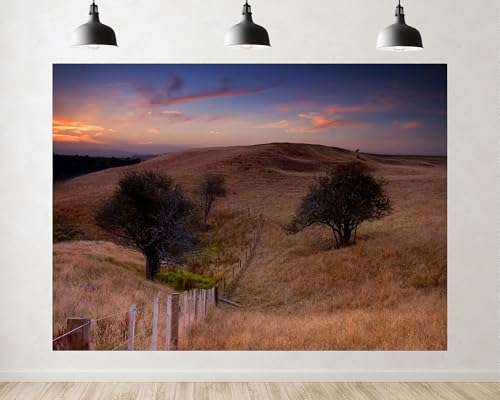 Trykid 12x8ft Golden Grassland Trees Fence Warm Sunset Backdrop Rural