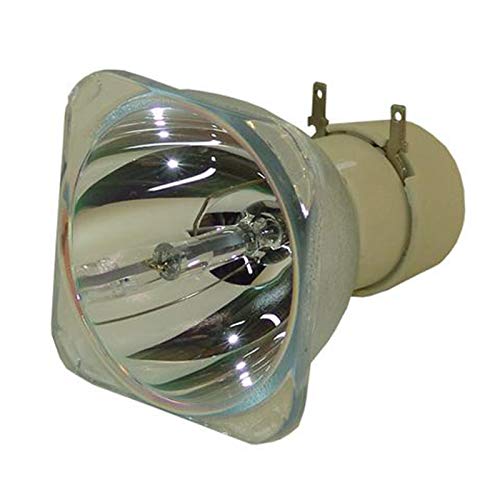 Stanlamp BL-FU195C Premium Replacement Bare Lamp Bulb for Optoma HD142X HD27