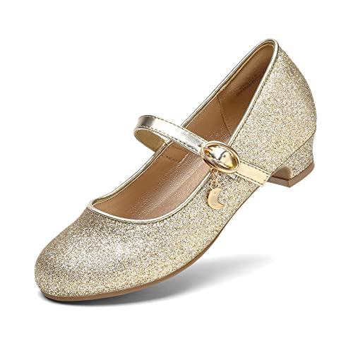 DREAM PAIRS Ballerines Filles Mary Jane Chaussures de Princesse Chaussures de Communion Chaussures d'école,Size 35,Or,KFL219