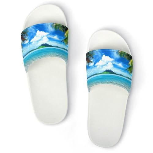 [ZKCASA] Xbp nC }EC V̖ C  [V[Y jp  T_ y OJ ~ 􂦂 p qp Cp v[g 42 (260mm)