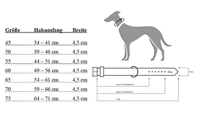 Foto 6 de 6 de Hunter Collar de Neopreno Reflectante, para Perros, Rojo (Rojo/Negro), Tamaño 45, 34 - 41 cm, 45 mm