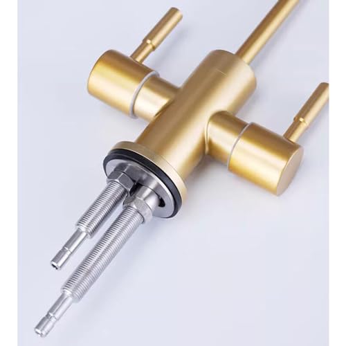 Robinet de purificateur d'eau double sortie en acier inoxydable or brossé B - 2