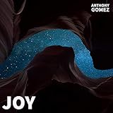  Joy