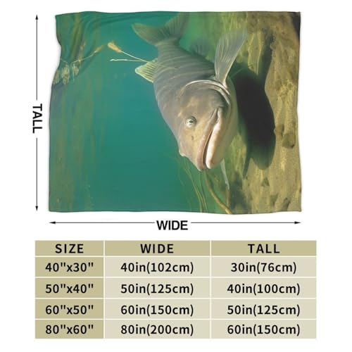 Couverture flanelle poisson-chat 203x152 cm pour canapé - 3