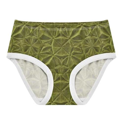 Toddlers Underwear Floral 2t Cotton Panties for Girl Flower Briefs Kids Undies Vintage Olive Green Velvet Texture - Main Image