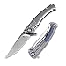 KIZER Cutlery Folding Pocket Knives Flipper Knife Drop Point Blade Titanium Handles Tactical EDC Knife, Ulrich Hennicke Sealion Ki4509