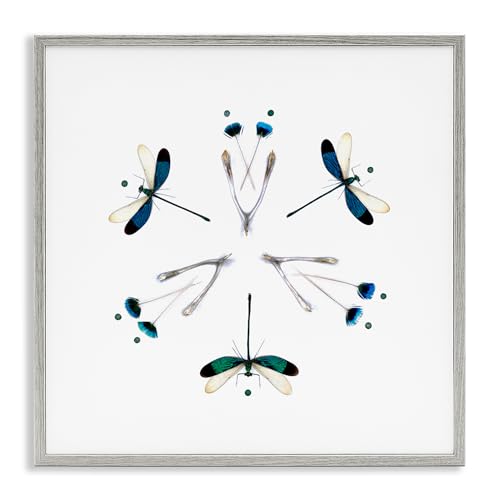 Dragonfly Symmetry Nature, 12 x 12 Inch Framed Giclée Print