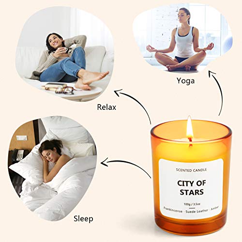 La Bellefée Candles For Home Scented, Scented Candles Fall Candles Soy Candles Gifts For Women, Stress Relief, Brithday Candles Of Endless Summer, Sunset Boulevard, City Of Stars #TOP3