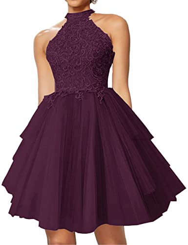 Spitzen Cocktailkleid Kurz A-Linie Ballkleid Neckholder Tüll Swing...