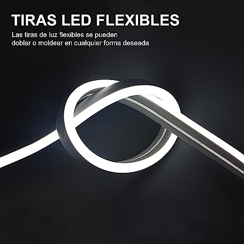 EXTRASTAR Tira de Luz LED de Neón, Luz Blanca Fría, 12V, Cable 5M, 120 LED, Impermeable IP65, 8.5W/M, No Regulable, Tira de LED para Jardín, Exterior, Festival, Fiesta, Valla Publicitaria