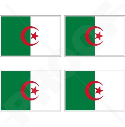 Algerien Algier Algerische Flagge 5,1 cm (50 mm) Vinyl bumper-helmet Sticker, Aufkleber X4