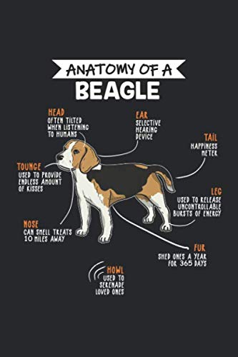 Anatomy Of A Beagle