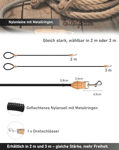 LeileiPaws Tauleine Hund – Nylon Hundeleine für kleine, mittelgroße & große Hunde – hundeleine leicht mit Schlaufe für kleinere Hunde, robuste Hundeleine große Hunde(Schwarz, 2m x 0.8cm)