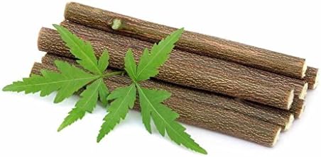 10 Chewing Sticks Of NEEM DATUN ORAL HERBAL TEETH & TONGUE CLEANER Traditional Teeth Cleaning Twig Prevent Tooth Decay And Gum Toothbrush Chew Sticks Natural Wild Organic Traditional image 8