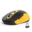 AT258-Yellow & Black