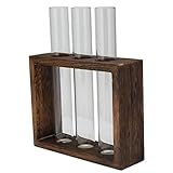 Tube en Verre de Table en Verre à Haute Teneur en Borosilicate Tube R en Bois de Pin Pl e...