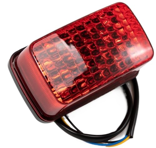 Feu de stop LED moto pour randonnée tout-terrain et sécurité diurne Viking UTV