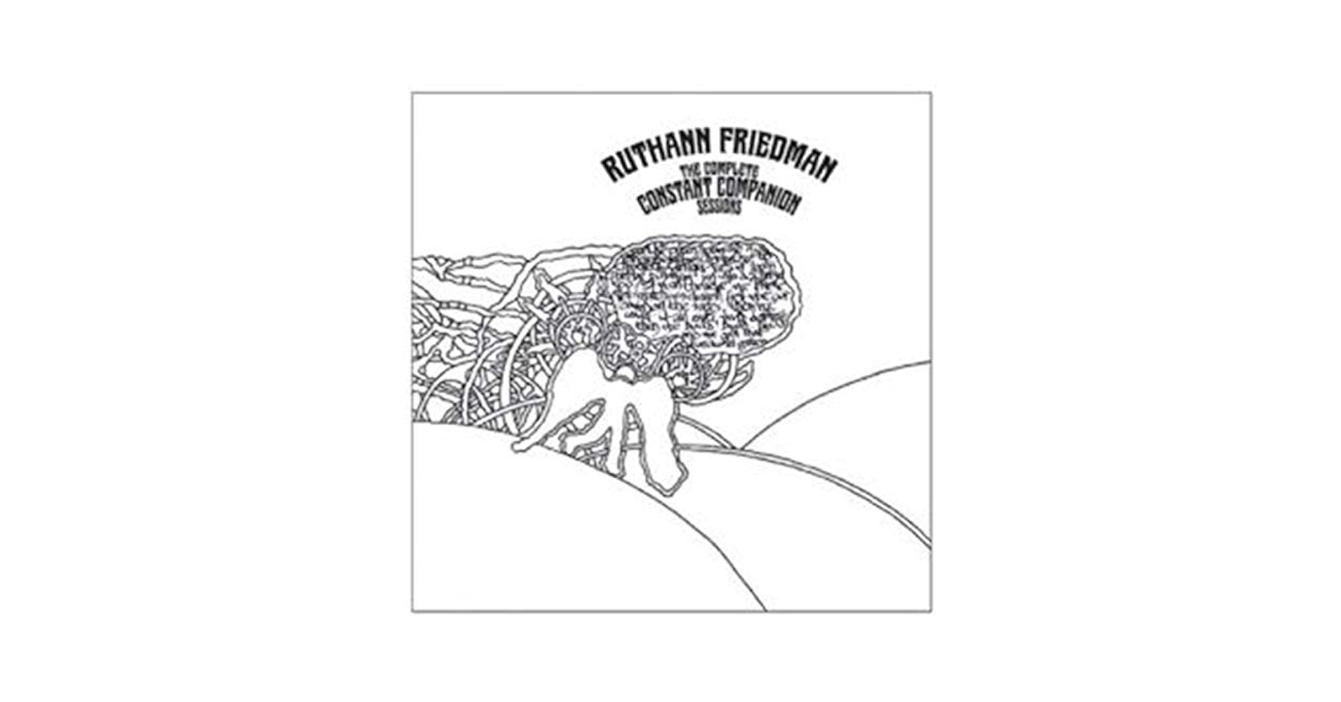 FRIEDMAN,RUTHANN - Complete Constant Companion Sessions