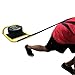 Titan Fitness Low Bar Push Pull Drag Sled with Harness, Rated 500 LB, Push, Pull, or Drag Sled for Speed Training and Agility