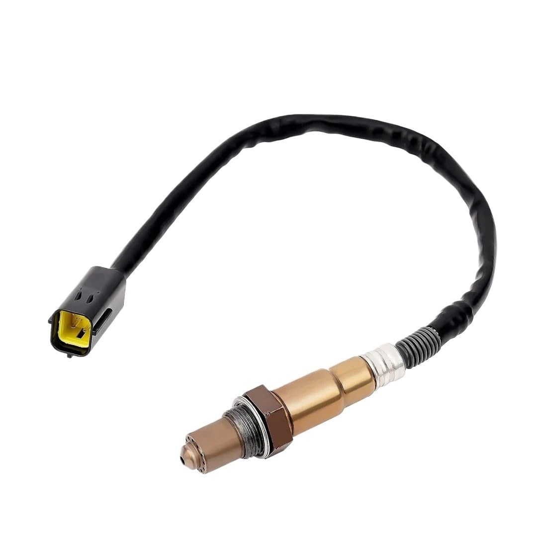 319026280000 pour Benelli