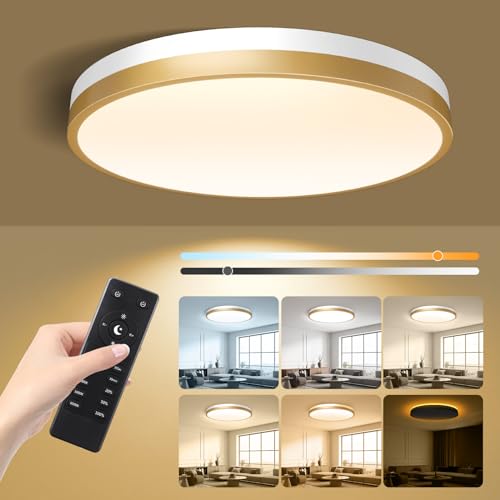 Lightania 11 Inch Flush Mount Ceiling Light with Remote Control & Night Light, 5CCT Dimmable Ceiling Light Fixture, 20W 2000LM 2700K-6500K Adjustable LED Ceiling Lights for Bedroom Kitchen, White Gold