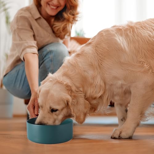 Welloyed Keramik-Hundenapf, 20,3 cm, klassischer Futternapf für mittelgroße und große Rassen, robuster, rutschfester Hundenapf, lebensmittelechtes Steingut, spülmaschinen- und mikrowellengeeignet,