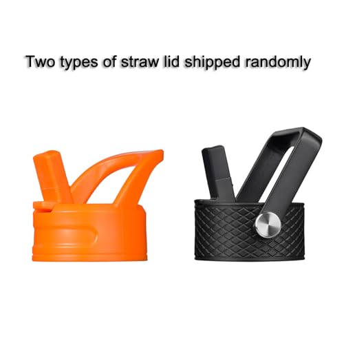 Image of BJPKPK Insulated Water Bottle, 15oz Stainless Steel with Straw Lid
