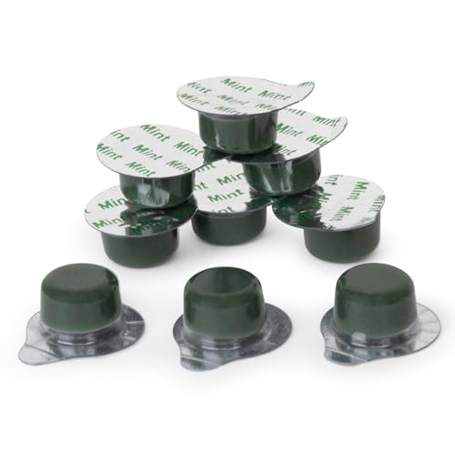 Image of Alpine Blanc Tooth Polish Cups, Mint Flavored - Professional Teeth Polishing Paste for a Smooth, Fresh Dental-Clean Feel - 50 Count
