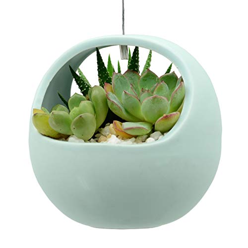 Arcadia Garden Products Ap10M Ceramic Air Planter, 4.5X4.5 Basket Style-Mint #TOP6
