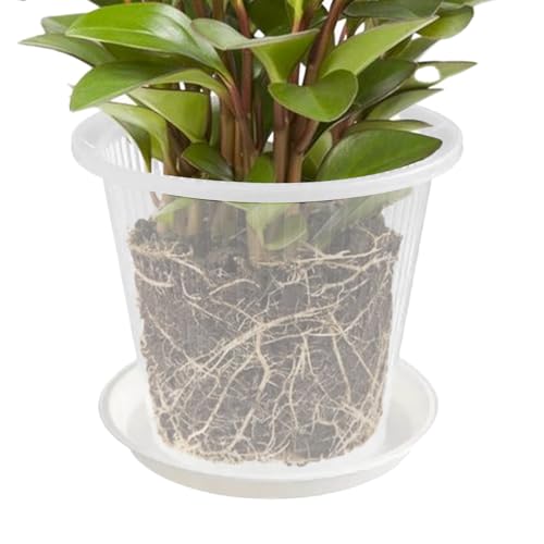 Pot à orchidées | Pots à orchidées avec Trous et Soucoupe pour rempotage – Conteneurs de Transparents, Accessoires de Maison pour Cactus phalaenopsis pensées Roses