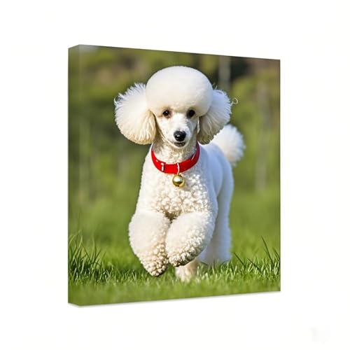 Personalized Photo to Canvas Print - Canvas Prints With Your Photos on Custom Wall Art for Bedroom, Living Room, Wedding Baby Pet Family Picture Framed Wall Art (24" W x 36" H)