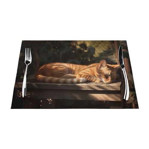 Set de table lavable en vinyle résistant à la chaleur | Décoration table chat orange - 4