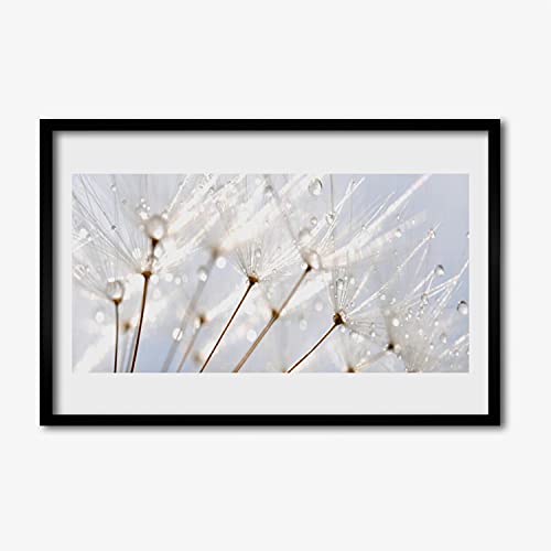 Affiche encadrée pissenlit 60x40 cm Tulup pour habiller un mur vide sans effort