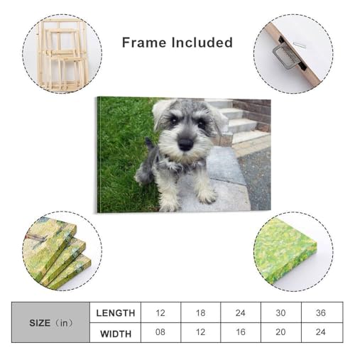 Poster Schnauzer 6 impression artistique déco chambre 60x90cm