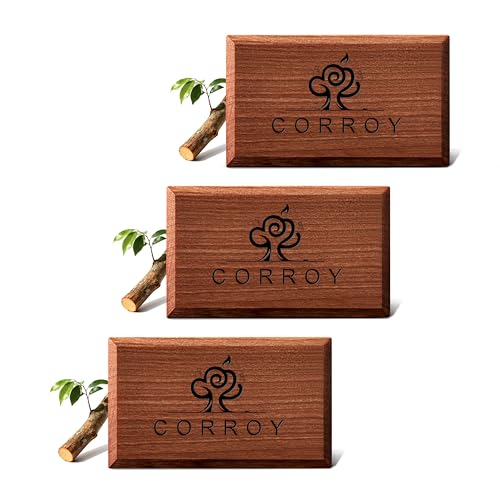 Image of Car Air Freshener Natural Essential Oil Scent, Odor Eliminator and Purifier, Sun Visor Clip Air Freshener for Car (Refill - 3 Pack - Pure Teak)